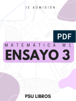 Ensayo 3 - Matemática