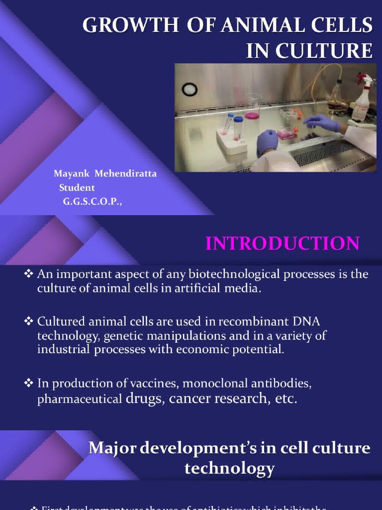 Animal Cell Culture PDF