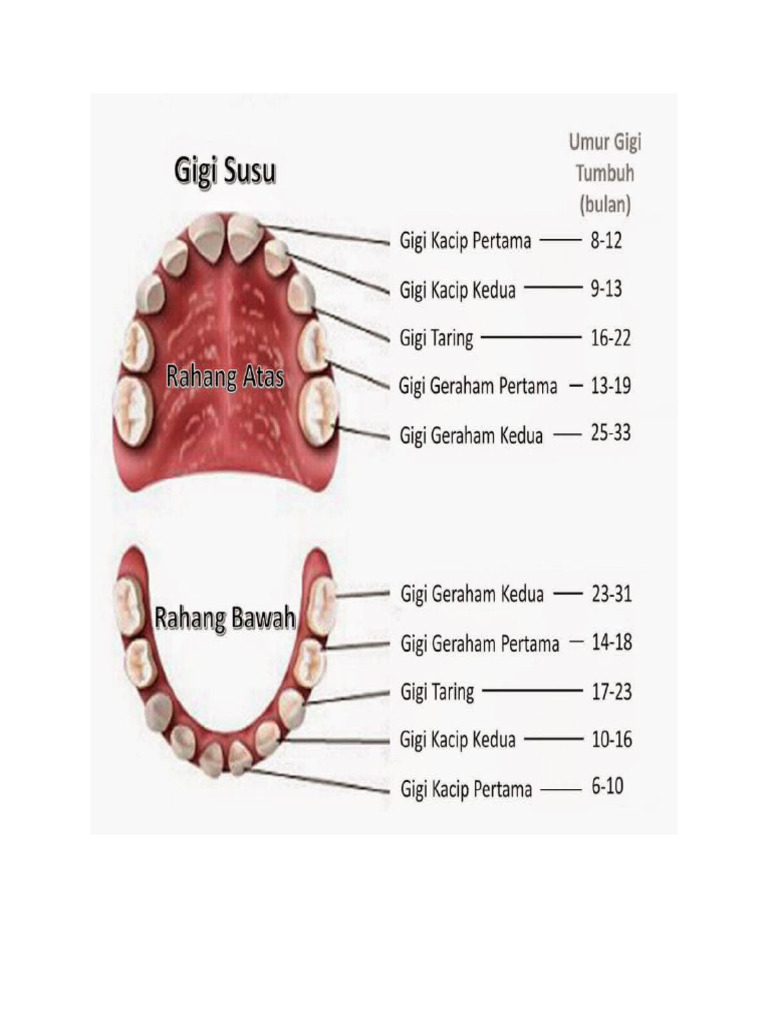 Poster Gigi | PDF