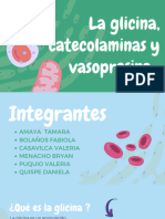 Glicina, Catecolamina y Vasopresina