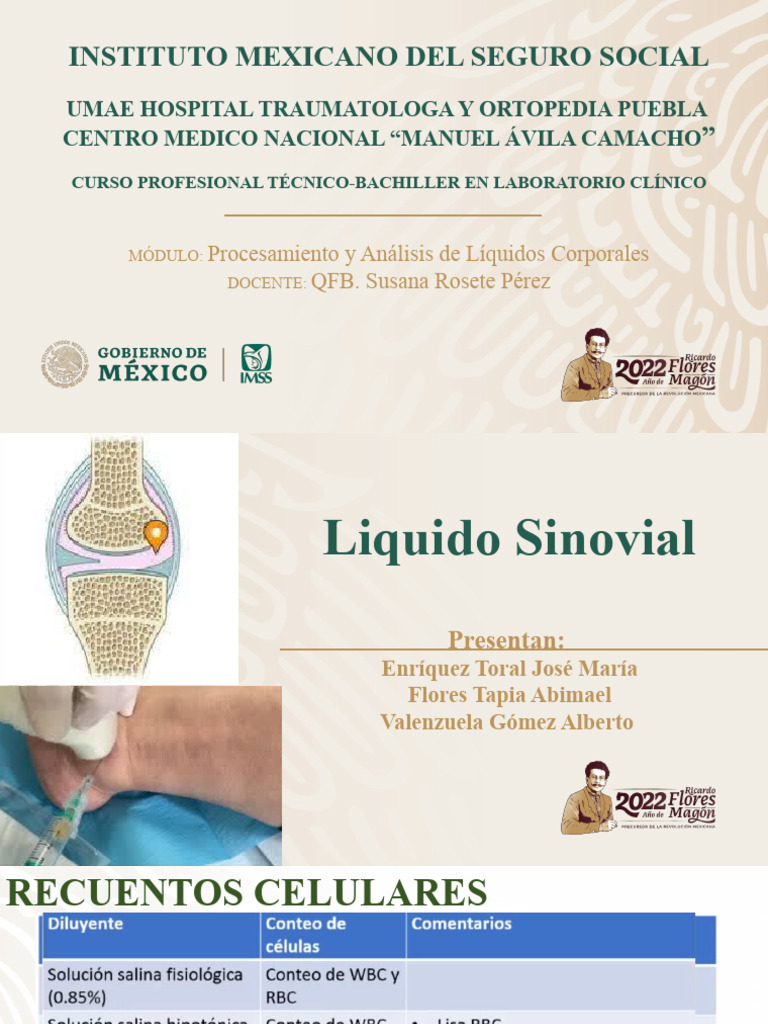 Liquido Sinovial PDF