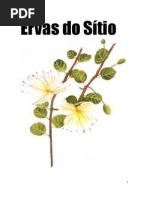 Livro Ervas Do Sitio