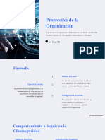 Proteccion-de-la-Organizacion 5