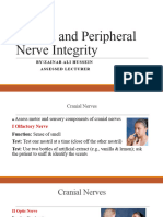 Cranial Nerve