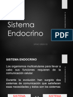 10 Sistema Endocrino