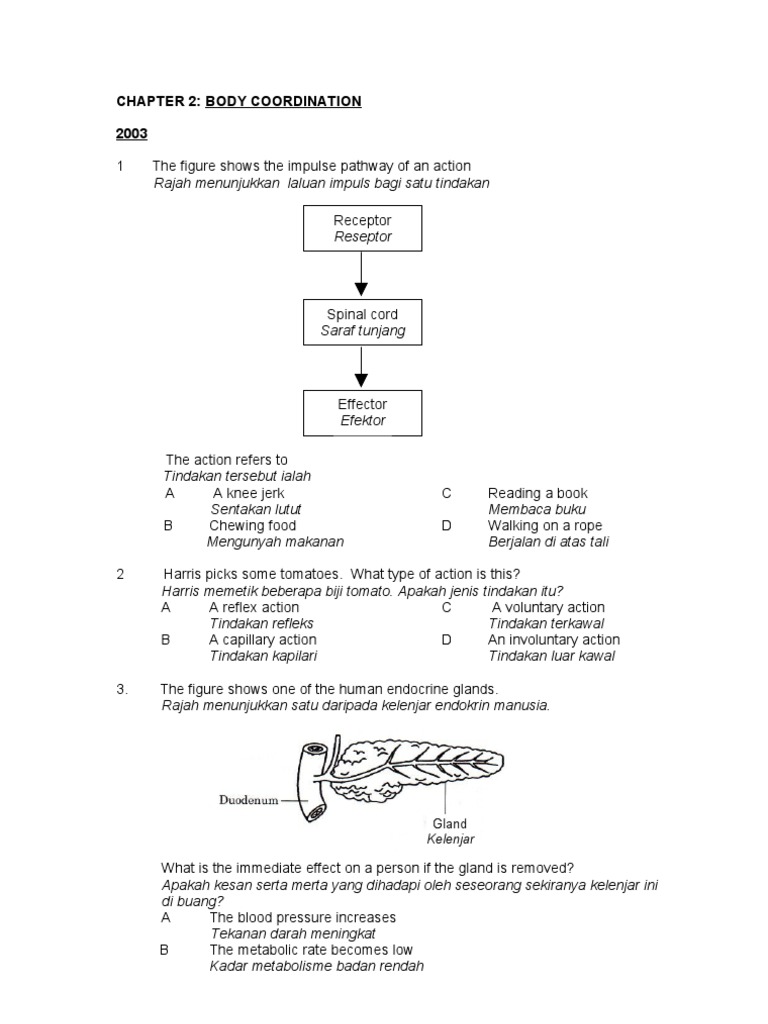 Chapter 2 Form 4 Paper Pdf