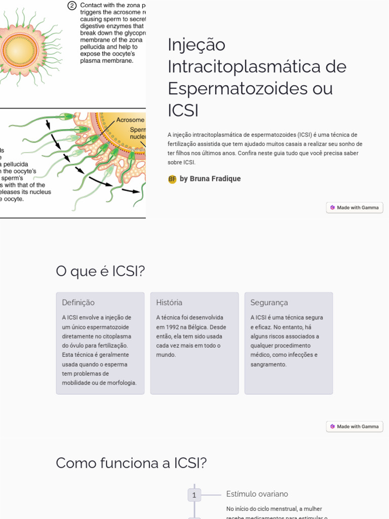 Como Usar A Injecao Intracitoplasmatica