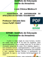 Iepam Clinica Medica Sistema Tegumentar