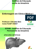 Clinica Medica Sistema Hepatico