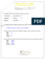 Ficha 4 - Anatomía - Respuestas