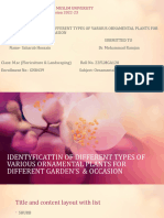 Identyficattin of Different Types of Various Ornamental Plants