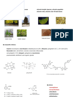 Curs Flavonoide Ii