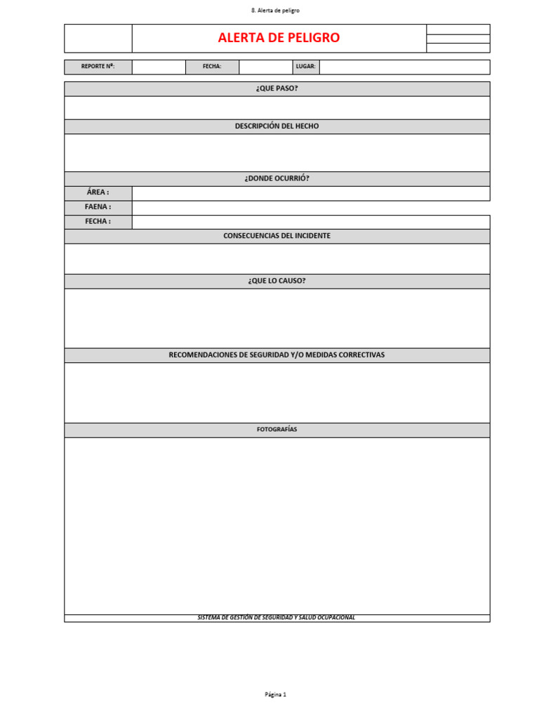 Formato de Alerta de Peligro Infantil | PDF
