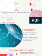 Proceso de Fecundación y Segmentación