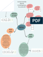 Algebra Lineal Mapa Mental 1 Naomy Alvarado