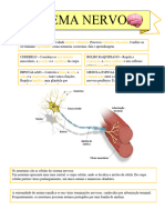 Sistema Nervoso