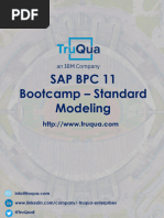 SAP BPC 11.x Bootcamp Training Standard Modeling - FINAL