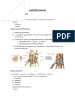 Anato Clase 5 A 7.anato