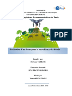 RapportDrone PDF
