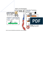Perfil de Consumidor-Chile