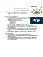 Endocrine N41