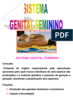 2_Aula_Orgãos Genitalis Femininos