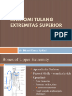 Anatomi Tulang Extremitas Superior