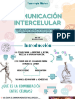 Comunicación Comunicación Intercelular Intercelular
