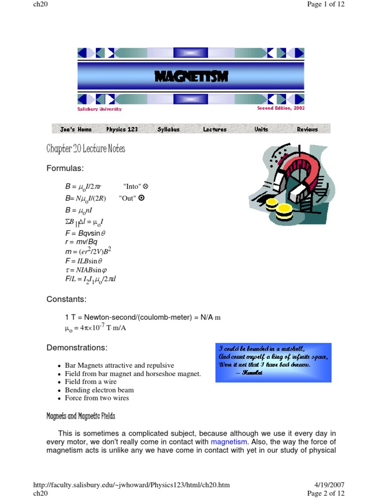ch20 - Magnets and Magnetic Fields | PDF | Magnetic Field | Magnet