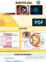 Keratitis