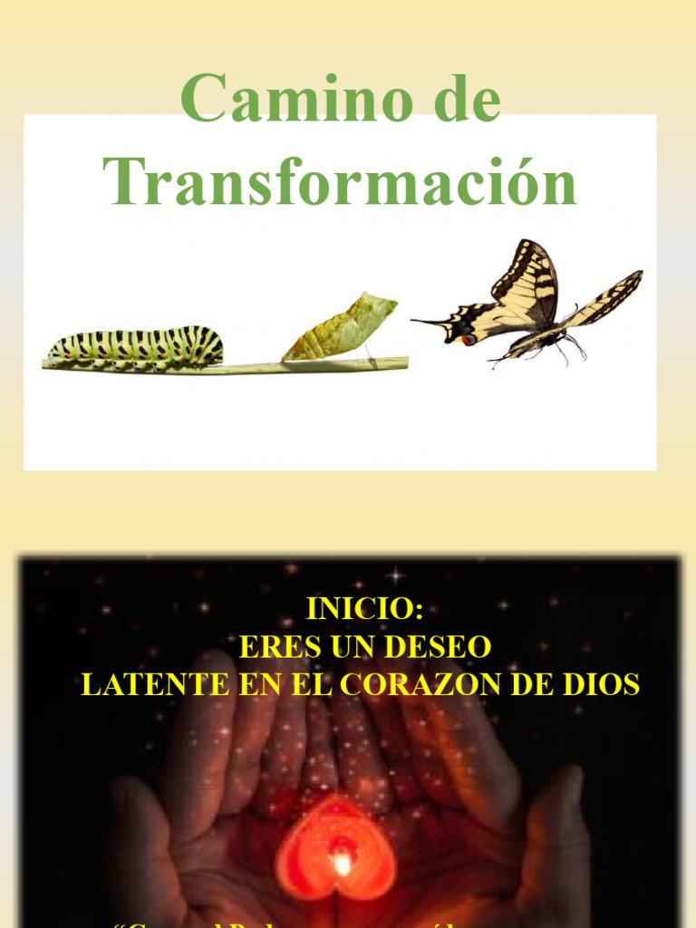 Camino de Transformacion Carolina | PDF