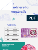 Gardnerella Vaginalis