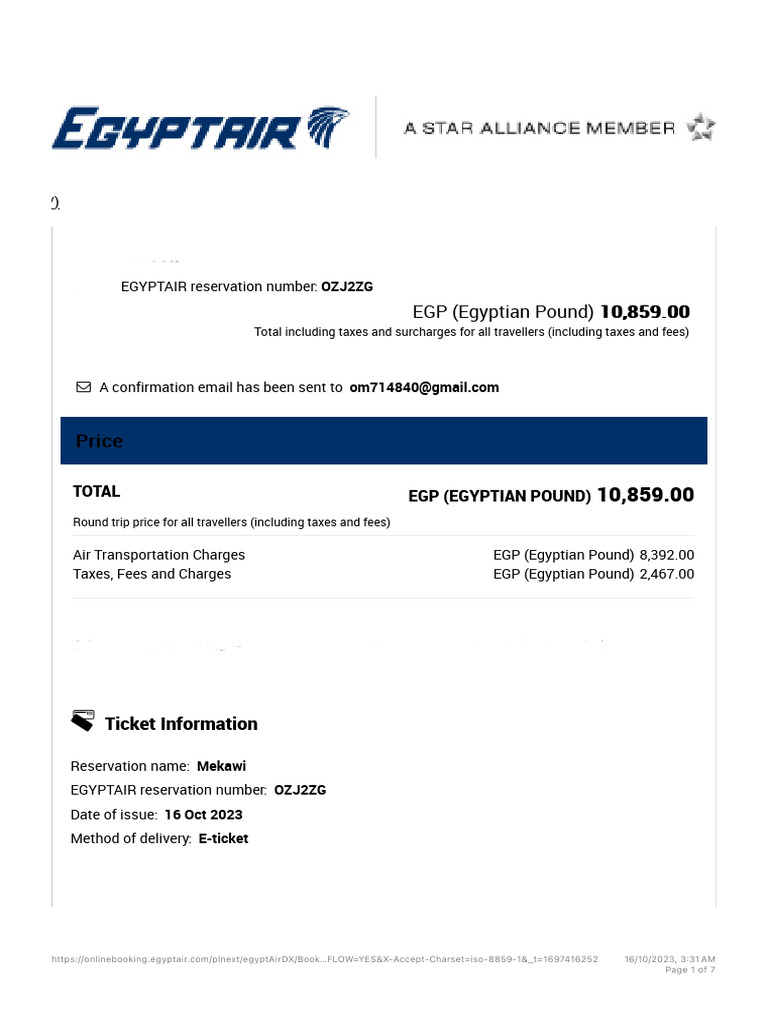 EGYPTAIR Confirmation PDF Baggage Aviation