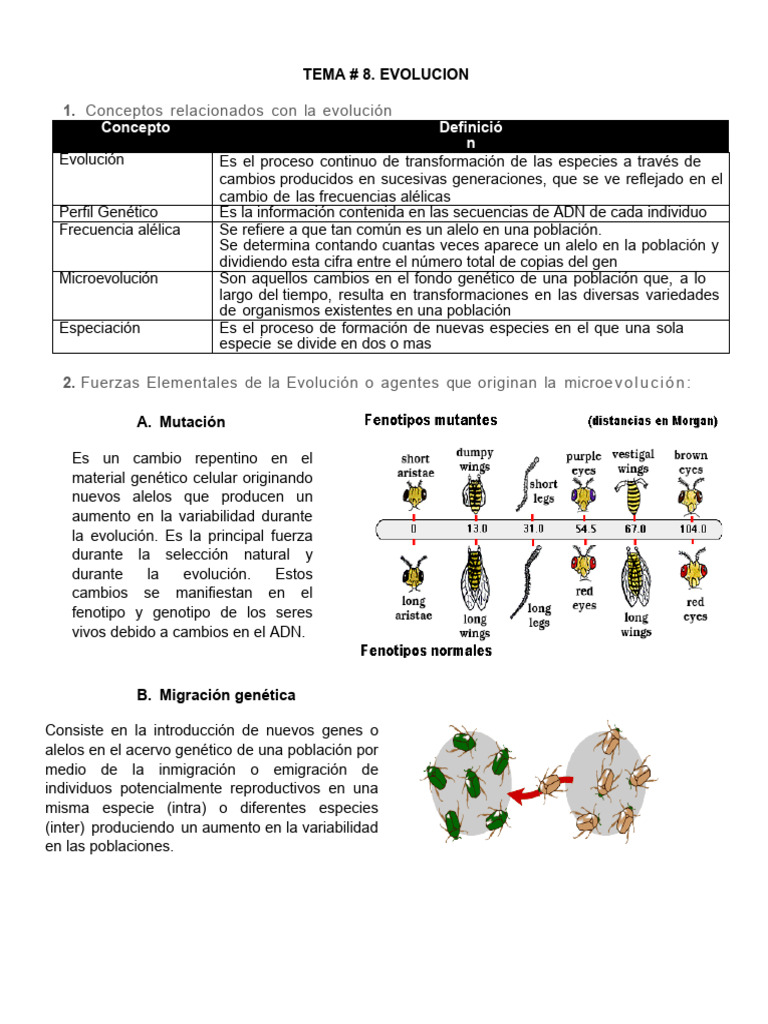 Conceptos y Fuerzas de la Evolución | PDF | Evolución | Seleccion natural