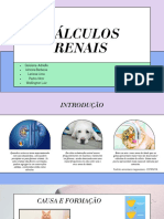 CALCULO RENAL-Fisiologia - 20231025 - 165938 - 0000