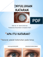 Katarak DR Sandi