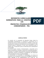 Referentes Normativos y Curriculares para La Construcción de Los PEC