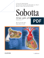 Sobotta File Doc Thu