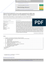 Tailored Functionalization of Iron Oxide