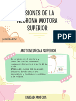 Lesiones de La Neurona Motora Superior