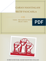 Pelanggaran Ham Dalam Perspektif Pancasila (PKN)