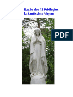 Meditação Dos 12 Privilégios Da Santíssima Virgem Maria
