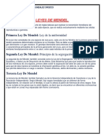Actividad Leyes de Mendel y Enfermedades Geneticas Gerardo González