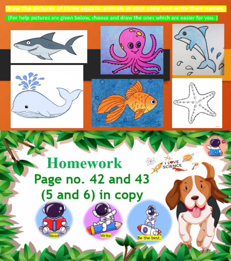 Aquatic Animals Drawing Homework | PDF