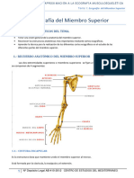 Tema 4 Ecografia Del Miembro Superior