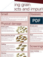 LR Barley Grain Defects A4s