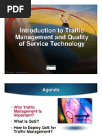 Introduction To Traffic Management and Quality of Service Technology