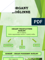 Organy Roślinne Prezentacja - Compressed