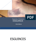 03 Esguinces