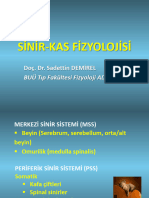 Sinir Kas Fizyolojisi